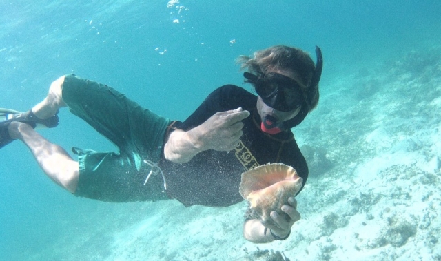 Sorpresas en el mar